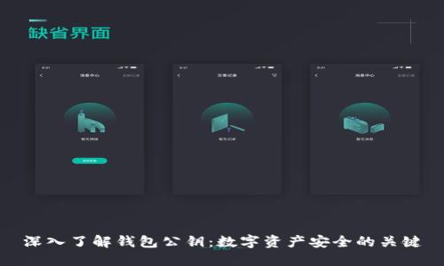 深入了解钱包公钥：数字资产安全的关键