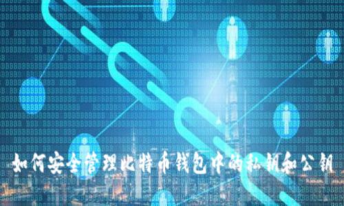 如何安全管理比特币钱包中的私钥和公钥