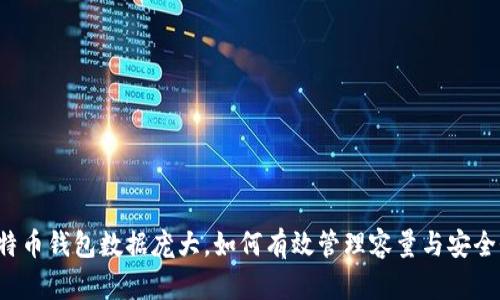 比特币钱包数据庞大，如何有效管理容量与安全性？