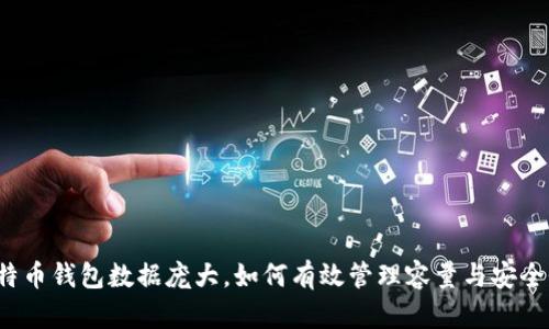 比特币钱包数据庞大，如何有效管理容量与安全性？