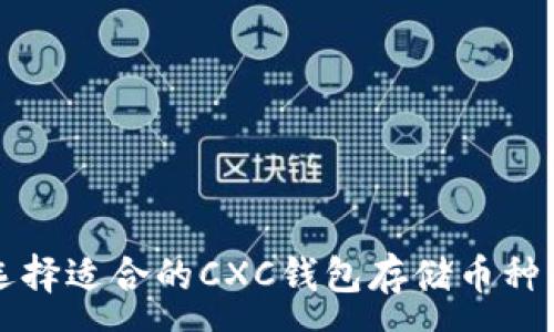 :
如何选择适合的CXC钱包存储币种与数量