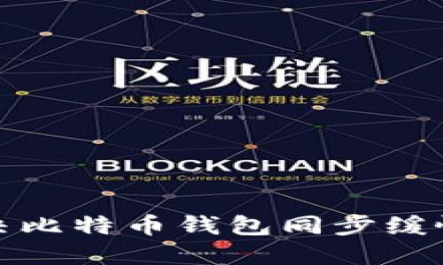 如何解决比特币钱包同步缓慢的问题