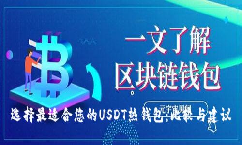 选择最适合您的USDT热钱包：比较与建议