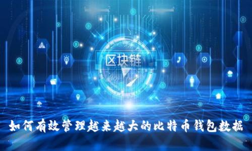 如何有效管理越来越大的比特币钱包数据