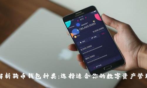 全面解析狗币钱包种类：选择适合你的数字资产管理工具