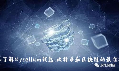 深入了解Mycelium钱包：比特币和区块链的最佳选择