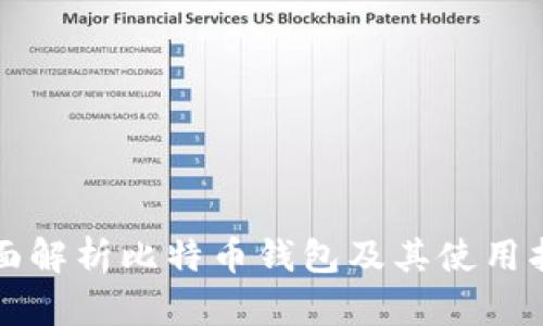 全面解析比特币钱包及其使用指南