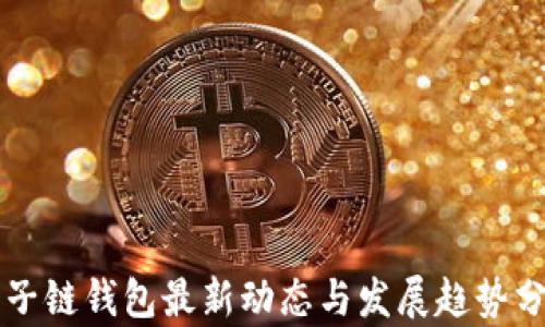 
量子链钱包最新动态与发展趋势分析