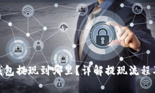 : 比特币钱包提现到哪里？详解提现流程及注意事项