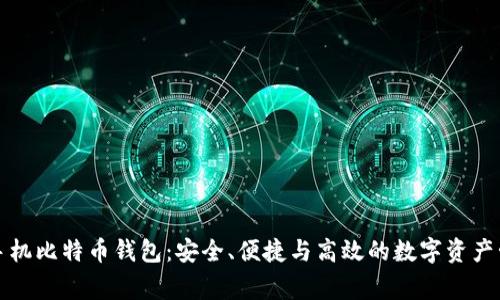 常用的手机比特币钱包：安全、便捷与高效的数字资产管理工具
