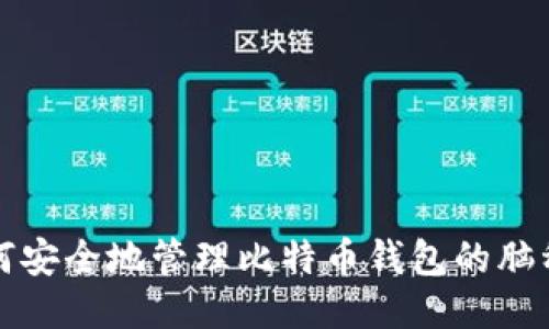 如何安全地管理比特币钱包的脑种子