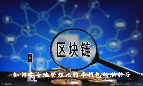 如何安全地管理比特币钱包的脑种子