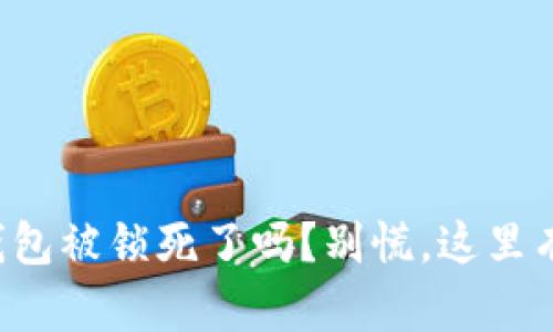 你的比特币钱包被锁死了吗？别慌，这里有解锁的秘诀！