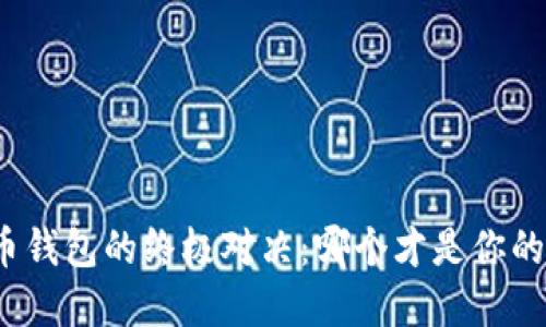 安全比特币钱包的终极对决：哪个才是你的最佳选择？