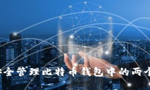 如何安全管理比特币钱包中的两个地址？