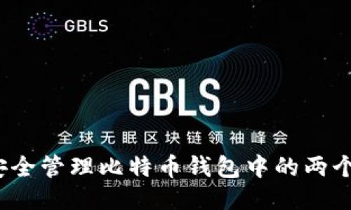 如何安全管理比特币钱包中的两个地址？