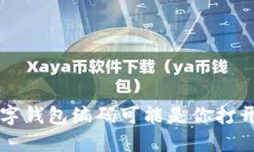 你知道吗？建行数字钱包编码可能是你打开便利生活的钥匙！