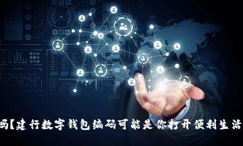 你知道吗？建行数字钱包编码可能是你打开便利生活的钥匙！