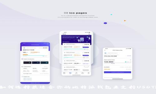 如何选择最适合你的比特派钱包来支持USDT？