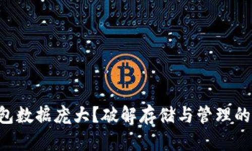 以太坊钱包数据庞大？破解存储与管理的最终方案！