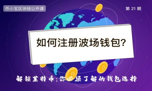 解锁莱特币：你必须了解的钱包选择
