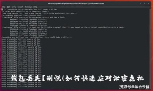 钱包丢失？别慌！如何快速应对泄密危机