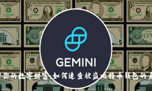 保护你的数字财富：如何追查被盗比特币钱包的身份？