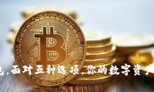 选择比特币钱包，面对五种选项，你的数字资产安全在哪个家？