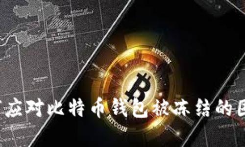 如何应对比特币钱包被冻结的困境？