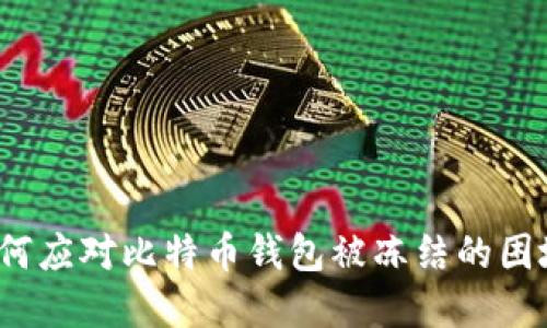如何应对比特币钱包被冻结的困境？