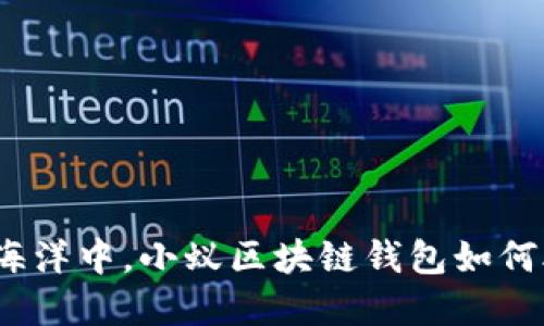 在数字货币的海洋中，小蚁区块链钱包如何助你扬帆起航?