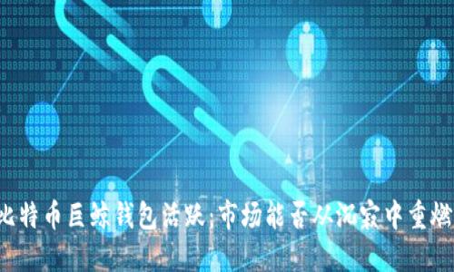 比特币巨鲸钱包活跃：市场能否从沉寂中重燃？