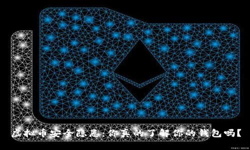 虚拟币安全隐患：你真的了解你的钱包吗？