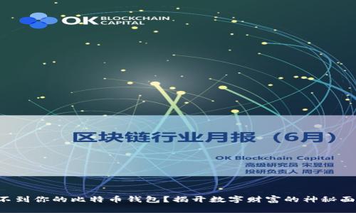 找不到你的比特币钱包？揭开数字财富的神秘面纱！