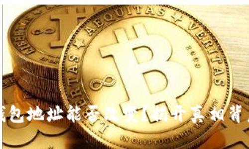 比特币钱包地址能否改变？揭开真相背后的迷雾