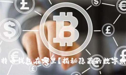你的比特币钱包在哪里？揭秘隐藏的数字财富之所
