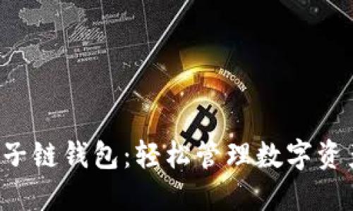 掌握QTUM量子链钱包：轻松管理数字资产的终极指南