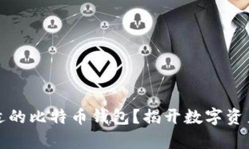 如何选择合适的比特币钱包？揭开数字资产存储的秘密