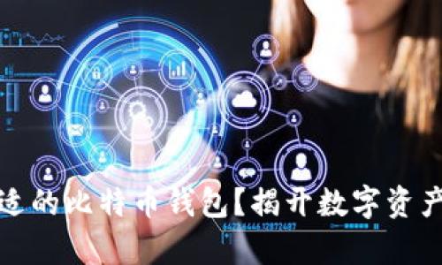 如何选择合适的比特币钱包？揭开数字资产存储的秘密