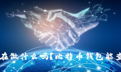  你真的知道你在做什么吗？比特币钱包能查到对方的秘密！