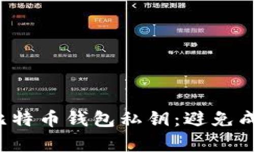 如何保护你的比特币钱包私钥：避免成为黑客的猎物！