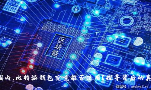 在国内，比特派钱包究竟能否使用？探寻背后的真相！