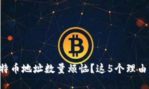 为什么你还在为比特币地址数量烦恼？这5个理由让你彻底摆脱困扰！