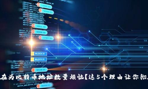 为什么你还在为比特币地址数量烦恼？这5个理由让你彻底摆脱困扰！
