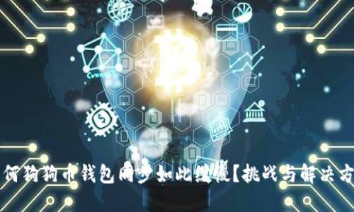 为何狗狗币钱包同步如此缓慢？挑战与解决方案