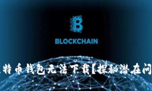 为什么你的比特币钱包无法下载？探秘潜在问题与解决方案