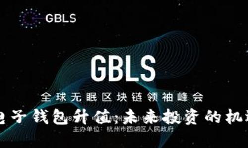 以太坊电子钱包升值：未来投资的机遇与挑战