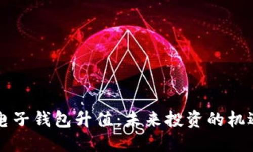 以太坊电子钱包升值：未来投资的机遇与挑战