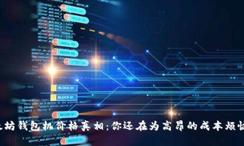 以太坊钱包机价格真相：你还在为高昂的成本烦恼吗？