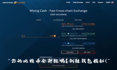 “你的比特币会升级吗？侧链钱包揭秘！”